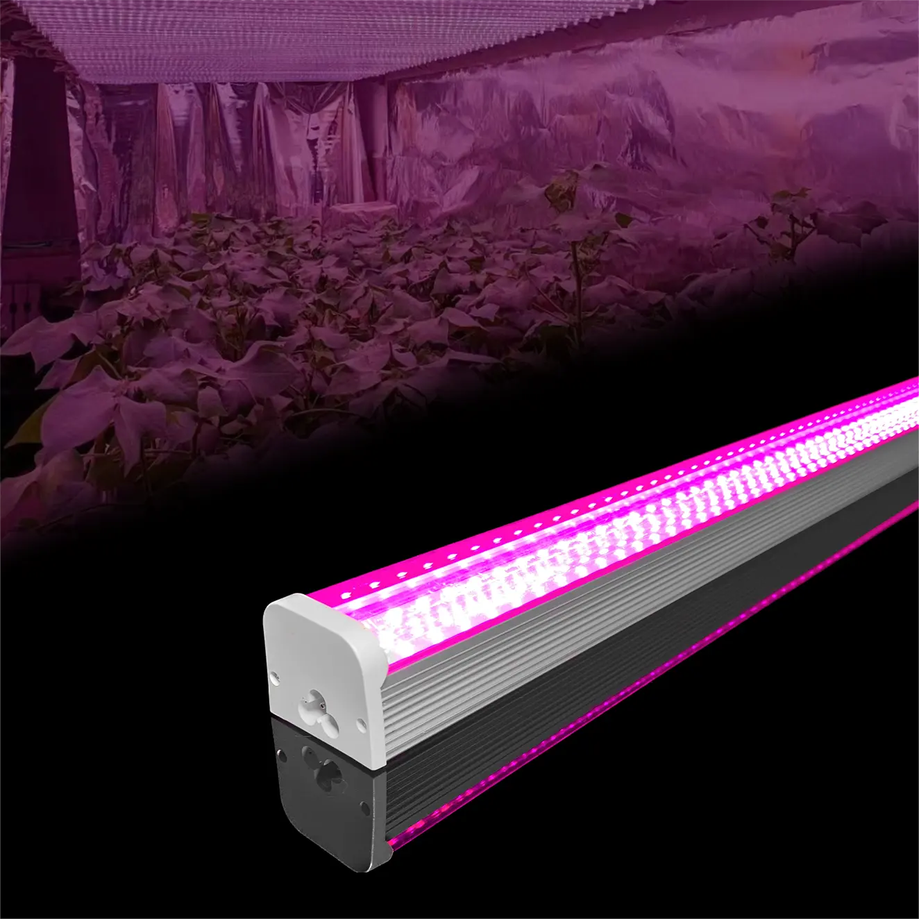 Original Samsung led plant lamp high light uniformity dimmable 18/36/48w led grow light Full spectrum