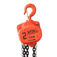Promotion : Treuil à chaîne manuel VT 1 tonne, polyvalent et durable, pour travaux de construction (également disponible en 2 tonnes)