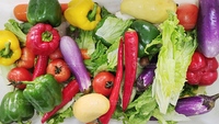 Commerciële Ozon Voedsel Sla Kokosnoot Groene Wortel En Blad Groente Dragon Fruit Luchtbel Desinfectie Wasmachine