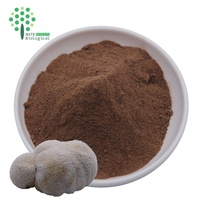 Complément alimentaire populaire : Poudre de polysaccharides / bêta-d-glucane doublement extraits de champignon Crinière de lion