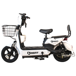 High Quality 350W 14" EBIKE Rear <b>Hub</b> 3 Speed Pedal-Assist Sensor Electronic Dual Suspension Removable Battery for Sale - Product Image 1