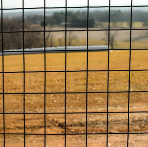 แผงตาข่ายลวดเชื่อมแบบดัตช์วีฟ 2x2 ดีไซน์ทันสมัย ขายดี พร้อมการดัดโค้งสำหรับป้องกันปศุสัตว์ - Product Image 5