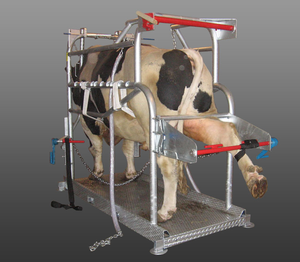 Máquina De Fixação Animal Casco De Gado Aparar O Esmagamento De Gado KPB Para Veterinários Equipamentos De Fazenda De Gado - Product Image 4