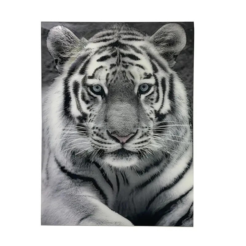 Manufacturer Price Custom Printing Lenticular 3d Animal 3D Picture Poster One Piece Poster Manufacturer