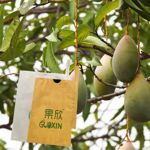 Bolsa de papel de protección de cubierta recubierta de cera de plátano de mango impermeable de alta calidad para cultivo de frutas para árboles frutales