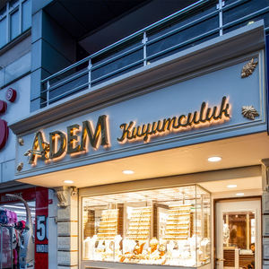 Letrero Metálico con Logotipo Retroiluminado, Letras de Canal con Iluminación LED Personalizadas, Letrero de Marca para Pared, Letras de Canal 3D - Product Image 2