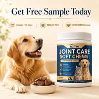 Complément alimentaire pour les hanches et les articulations des chiens, glucosamine, chondroïtine, MSM, comprimés à dose précise, 500 mg, 100 unités, chiens âgés, vente en gros