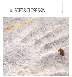 Nhà Máy Trực Tiếp Bán Tùy Chỉnh Mềm Lớn Thảm Sàn Mat Hiện Đại Trang Chủ Trang Trí Thảm Cho Phòng Khách Khu Vực Thảm - Product Image 4