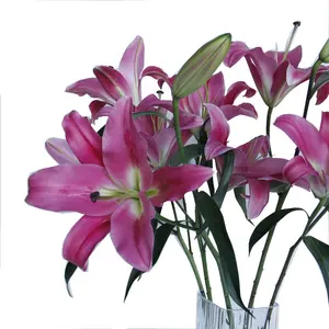 Wedding Decorations Fast Shipping China Fresh Cut Flowers Sino Red Lily Wholesale Supplier