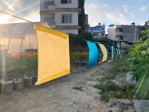 เทปกาวดักแมลงสีเขียวเหลืองแบบเจล ผลิตโดยผู้ผลิตจีน ขายตรง เป็นมิตรกับสิ่งแวดล้อม กันน้ำ - Product Image 5