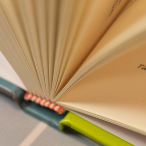 Impression de livres à couverture rigide personnalisée de qualité supérieure, avec dorure à chaud, reliure cousue, gaufrage/débossage et pelliculage, best-seller - Product Image 6