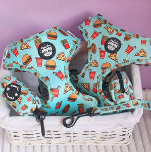 Contoh Gratis Kustom Sublimasi Cetak Personalisasi Tanpa Tarikan Persediaan Hewan Peliharaan Tali Kekang Anjing Mewah dan Set Kerah - Product Image 5