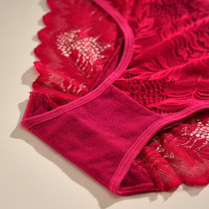 Nuevo Estilo de Bragas de Encaje Triangulares para <span class=keywords><strong>Mujer</strong></span>, Lencería Sexy con Forro de Algodón, Semitransparentes, Sin Costuras, Suaves, Ropa Interior de Puro Deseo - Product Image 4