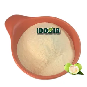 guava leaf powder/guava leaf tea powder guava leaf extract powder