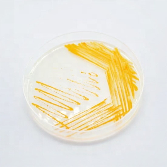 Lab Glassware Borosilicate Glass Cell Culture
