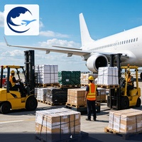 Transitaire Aérien Efficace Dongguan vers les Émirats Arabes Unis - Dédouanement et Livraison