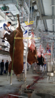 Máquina de Matadero de Reses, Línea de Sacrificio de Vacas, Equipo de Sacrificio de Ganado, Maquinaria de Matadero
