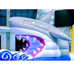 Sistema de Pista de Obstáculos Inflable para Piscinas, para Resorts y Parques Acuáticos, Juguetes Inflables de Tiburón para Piscinas - Product Image 6