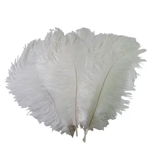 Plumas de avestruz decorativas para fiesta, color barato, hilo dental, Pájaros de avestruz blancos, plumas de pollo, pollitos de avestruz