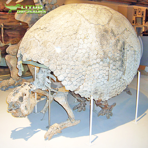 Scheletro di Glyptodon a Grandezza Naturale, Epoca Preistorica della Era Glaciale, in Vendita - Product Image 1