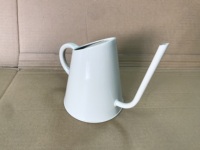 Arrosoir vintage en acier galvanisé durable de 900 ml pour plantes d'intérieur et d'extérieur