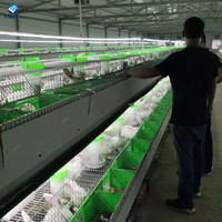 Nouvelle Cage à Lapins de Conception Européenne à Vendre (Qualité d'Usine Chinoise) Galvanisée à Chaud 16 Trous, Cage à Lapins YIZE 120