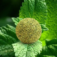 Boule de menthe naturelle boule, 1 pièce, jouets Matatabi, chat, vente en gros