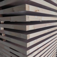 Portes intérieures simples en bois de pin plaqué MDF pour la chambre à coucher, portes intérieures en bois à une seule feuille