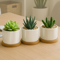 Mini pot en céramique nordique pour plantes succulentes avec plateau en bambou, petit pot à fleurs pour cactus de bureau, décoration intérieure