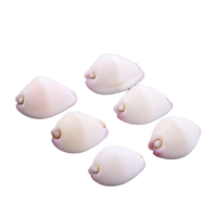Conque d'escargot de lapin en jade blanc naturel 2-3cm coquillage rare pour les trésors de bricolage ou la collection cadeau de conque blanche polie