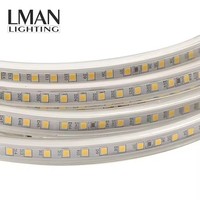 Vente chaude IP65 Étanche LED Bande Lumineuse AC110V/220V 120LEDS/M SMD2835 Bande Lumineuse LED Flexible