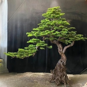 Árbol de <span class=keywords><strong>Pino</strong></span> Artificial Grande para Interiores, Hecho a Mano con Tronco de Madera, Bonsái Artificial para Decoración de Paisajismo del Hogar - Product Image 3