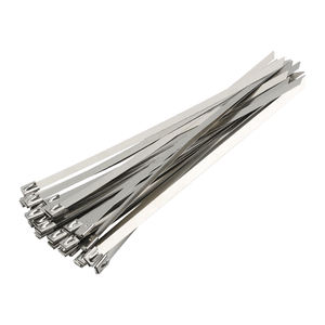 Bridas metálicas de 11.8 pulgadas, 100 unidades, de acero inoxidable 304, resistentes, multiusos, autoblocantes. - Product Image 2