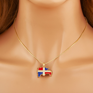 Collar con Colgante de Mapa del Continente Africano y Bandera Dominicana QIKU, en Oferta, para Hombre y Mujer, con Circonita y Cobre, Joyería de Moda, Regalos - Product Image 4