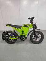 Vélo électrique de style vintage, pneus larges de 20 pouces, 500W, 48V16Ah, autonomie de 40-50 km, frein à disque, tout-terrain, couleur personnalisée