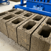 Petite machine à fabriquer des briques en béton produisant différents types de briques, utilisant un moteur électrique ou diesel pour la construction.