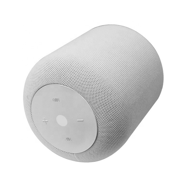 2023 BSCI Factory OEM Best Seller Homepod 10W Blue Tooth Speaker