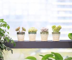 Pot de fleurs en céramique vert olive dégradé avec trou de drainage et système d'arrosage automatique, design moderne et écologique pour une utilisation en intérieur/extérieur - Product Image 4