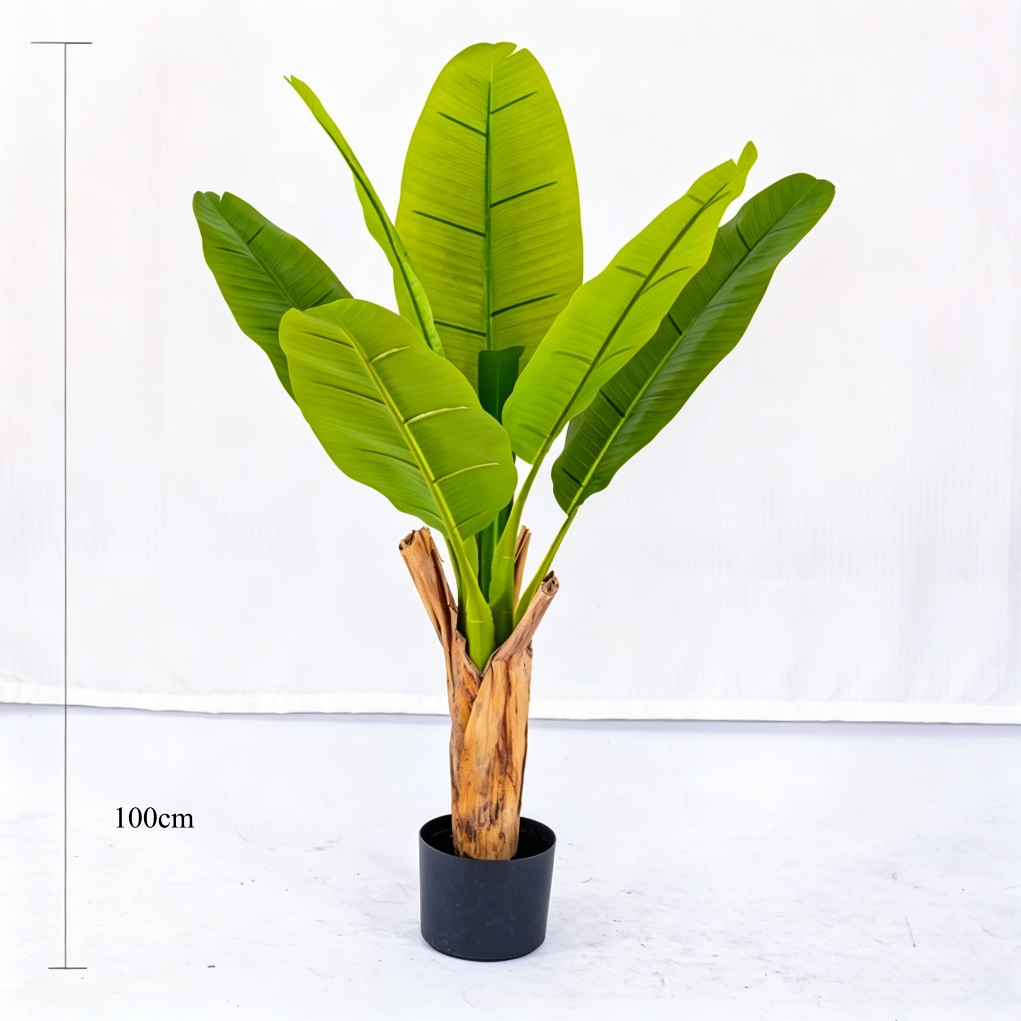 100cm