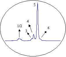 Colonna a Scambio Ionico Anionico Non Porosa HPLC per Purificazione di Proteine e Anticorpi Monoclonali - Product Image 5