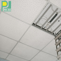 Plafond faux acoustique d'installation facile de style de luxe pour l'immeuble de bureaux