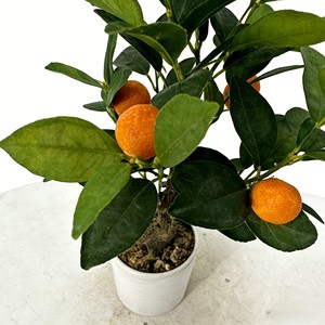 Árbol de Naranjas Artificial, Árbol Artificial, Árbol de Frutas Artificial, Árbol de Naranjas - Product Image 5