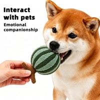 Fabrikant Kleine MOQ Op Maat Watermeloen Vormig Huisdier Pluche Speelgoed Zacht Bijtbestendig Hond Kat Interactief Fruit Gevuld Speelgoed