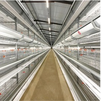 Cage à poulets automatique de type H à 4 niveaux et 5 portes, système de cages en batterie en forme de A pour 10 000 oiseaux