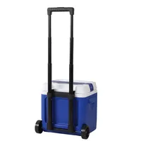 Nouveau coffre à glace en plastique rotomoulé écologique de 18L pour les pique-niques en plein air et la randonnée avec thermomètre refroidisseur pour le stockage des aliments