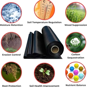 Película de Cobertura Biodegradable <span class=keywords><strong>para</strong></span> Control de Malezas, Película de Polietileno Negra/Plateada <span class=keywords><strong>para</strong></span> Agricultura - Product Image 2