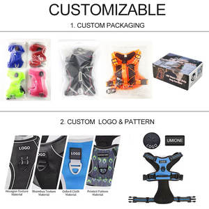 Arnés para mascotas con luz LED, resistente al agua, recargable, personalizado, <span class=keywords><strong>seguridad</strong></span> nocturna, reflectante, intermitente, arnés para perros - Product Image 5