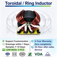 Inducteur toroïdal personnalisé OEM ODM, bobiné de fil de cuivre émaillé, de 27 mm à 80 mm, filtre EMI pour onduleur solaire, conforme RoHS
