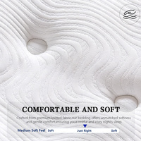 Matelas de lit d'hôtel 5 étoiles sur mesure, respirant, antibactérien, écologique, emballé individuellement, pour villa et mobilier de maison