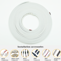 Échantillons Gratuits Bande Néon Flexible Mini Anti-Taches 24V 12V 196 LED CE, RoHS, Couleur et Longueur Personnalisables pour Enseigne de Magasin Lumière Néon LED